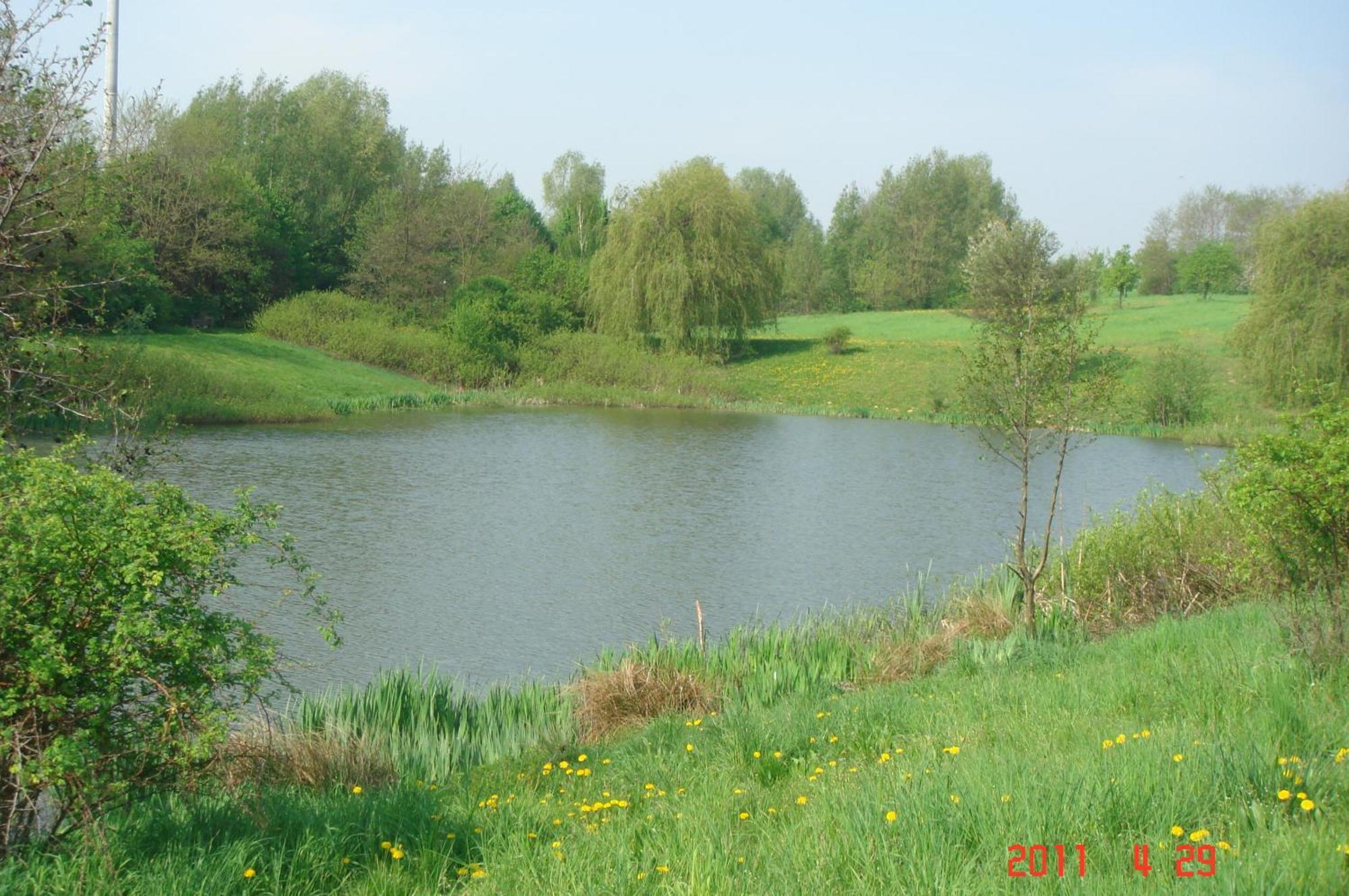 Zur Linde Hotel Ostrau  Buitenkant foto